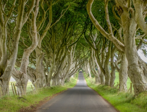 Ireland: A Giant’s Playground, A Gamer’s Paradise