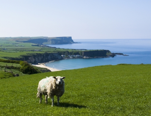 Some Astonishing Facts about Ireland You May Not Have Known